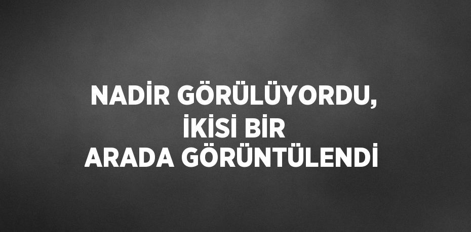 NADİR GÖRÜLÜYORDU, İKİSİ BİR ARADA GÖRÜNTÜLENDİ