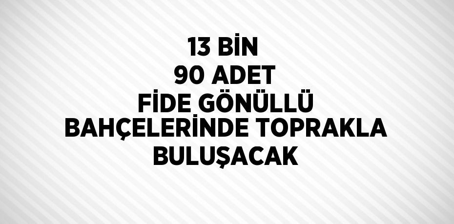 13 BİN 90 ADET FİDE GÖNÜLLÜ BAHÇELERİNDE TOPRAKLA BULUŞACAK