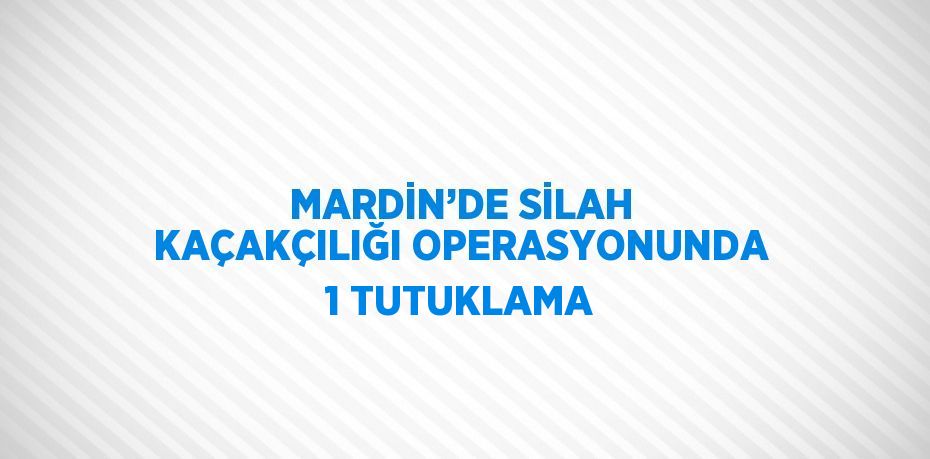 MARDİN’DE SİLAH KAÇAKÇILIĞI OPERASYONUNDA 1 TUTUKLAMA