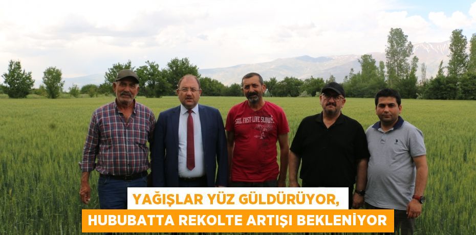 Yağışlar yüz güldürüyor, hububatta rekolte artışı bekleniyor