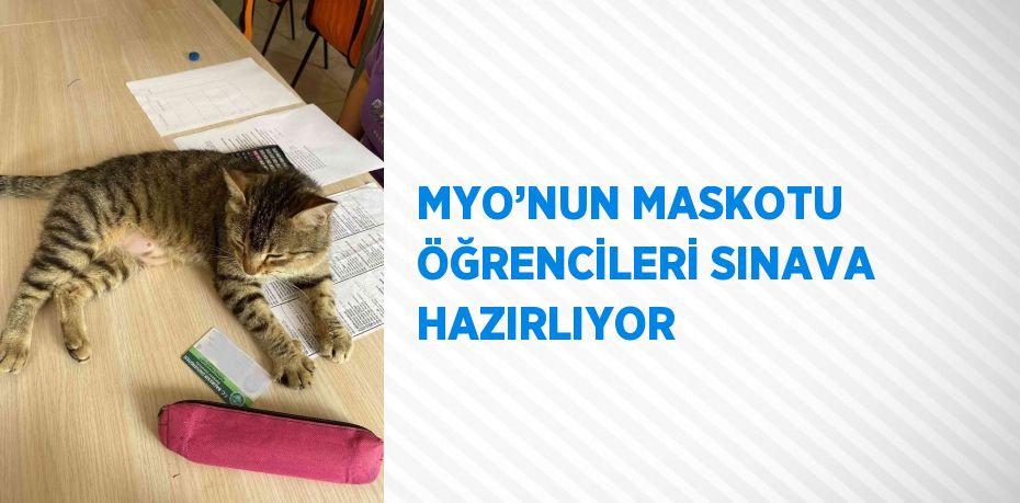 MYO’NUN MASKOTU ÖĞRENCİLERİ SINAVA HAZIRLIYOR