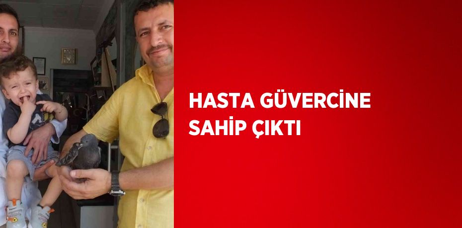 HASTA GÜVERCİNE SAHİP ÇIKTI