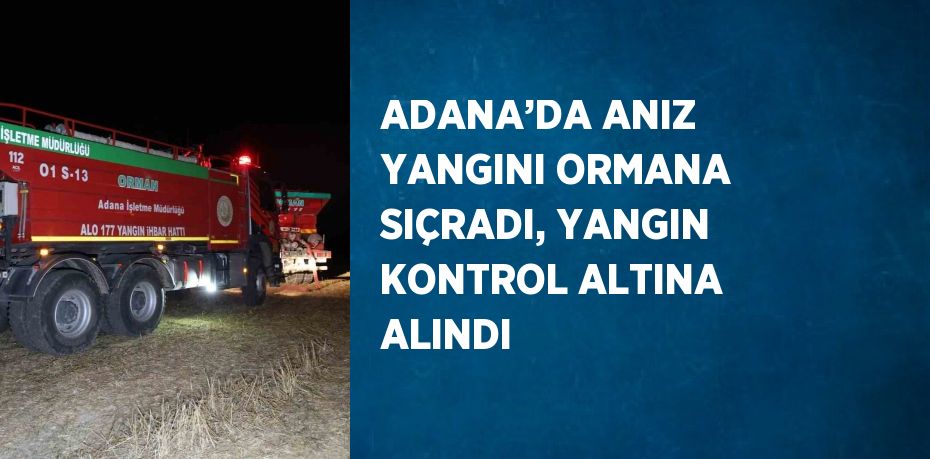 ADANA’DA ANIZ YANGINI ORMANA SIÇRADI, YANGIN KONTROL ALTINA ALINDI