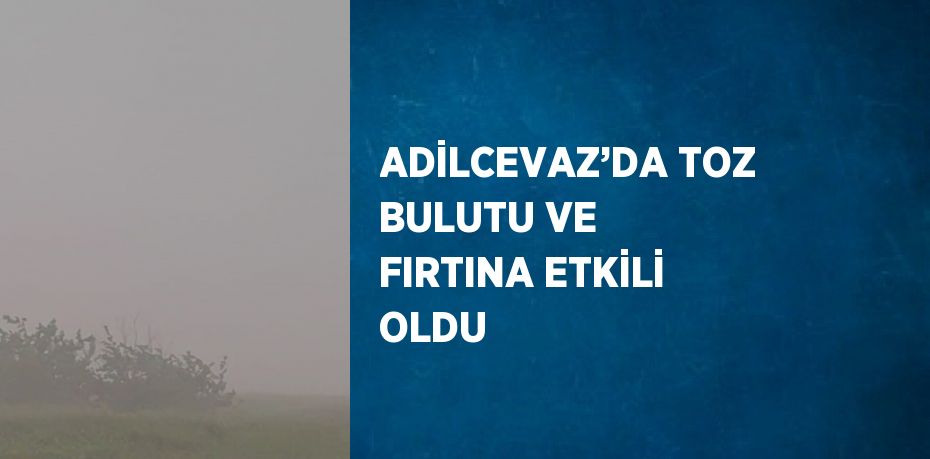 ADİLCEVAZ’DA TOZ BULUTU VE FIRTINA ETKİLİ OLDU