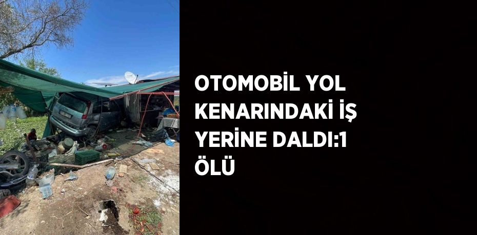 OTOMOBİL YOL KENARINDAKİ İŞ YERİNE DALDI:1 ÖLÜ