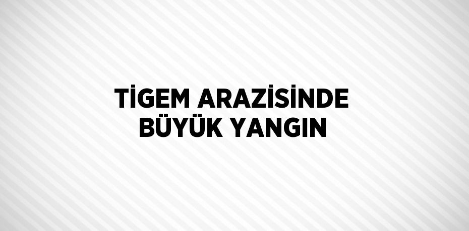 TİGEM ARAZİSİNDE BÜYÜK YANGIN