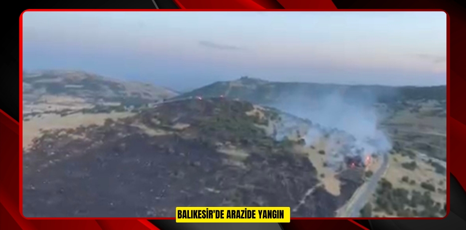 Balıkesir'de arazide yangın