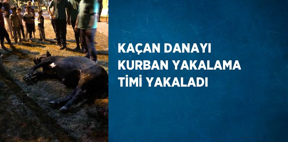 KAÇAN DANAYI KURBAN YAKALAMA TİMİ YAKALADI