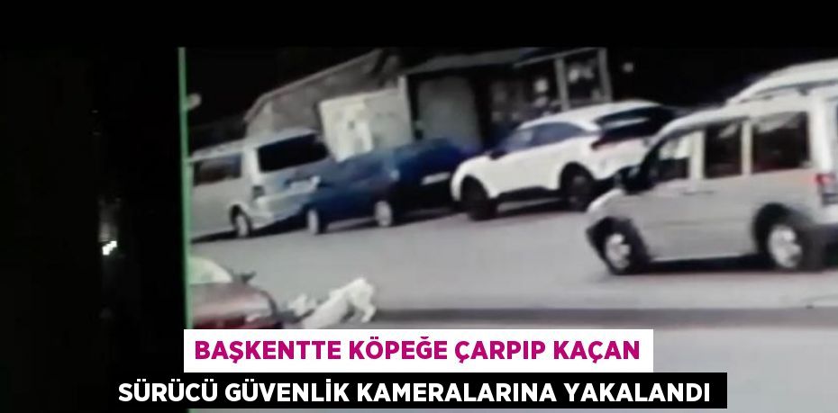 BAŞKENTTE KÖPEĞE ÇARPIP KAÇAN SÜRÜCÜ GÜVENLİK KAMERALARINA YAKALANDI