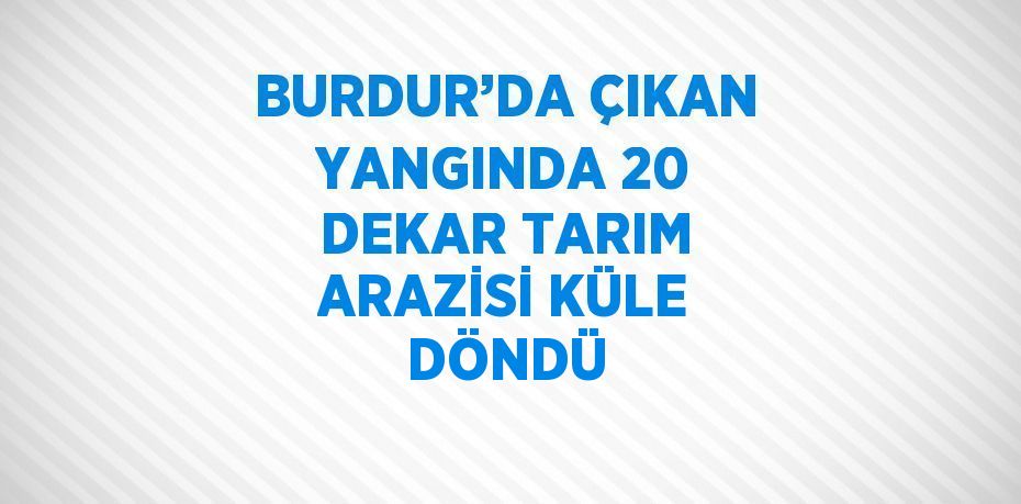 BURDUR’DA ÇIKAN YANGINDA 20 DEKAR TARIM ARAZİSİ KÜLE DÖNDÜ