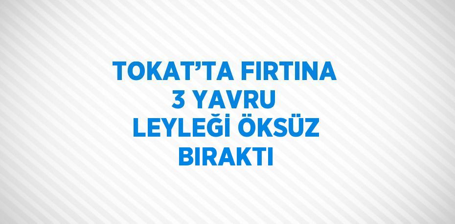 TOKAT’TA FIRTINA 3 YAVRU LEYLEĞİ ÖKSÜZ BIRAKTI