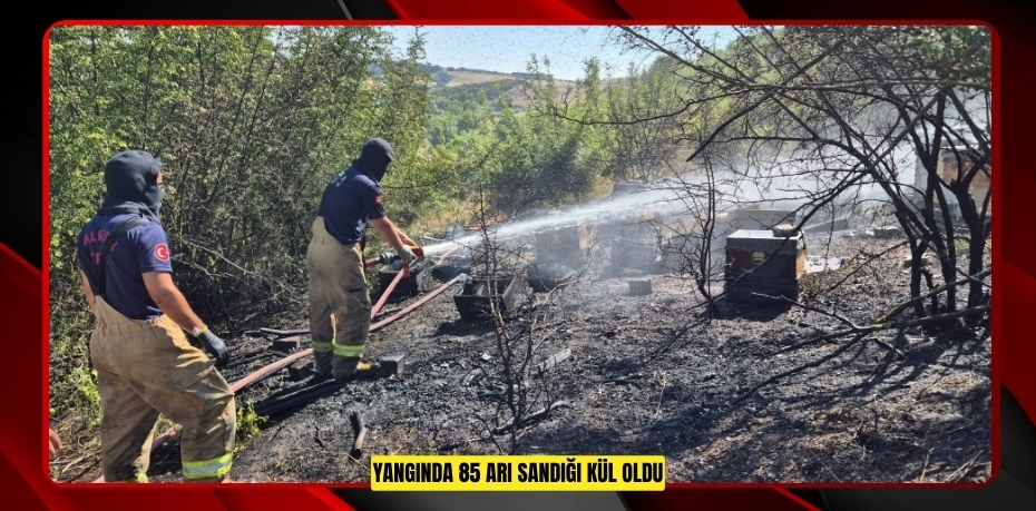 Yangında 85 arı sandığı kül oldu