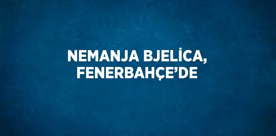 NEMANJA BJELİCA, FENERBAHÇE’DE