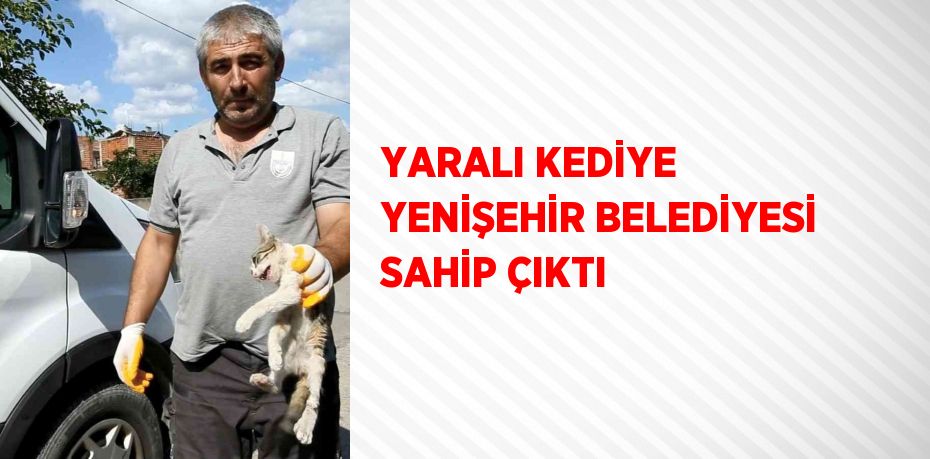 YARALI KEDİYE YENİŞEHİR BELEDİYESİ SAHİP ÇIKTI