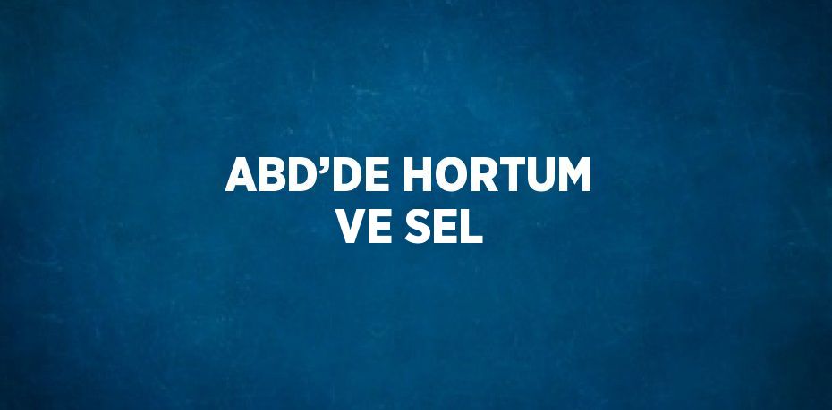 ABD’DE HORTUM VE SEL