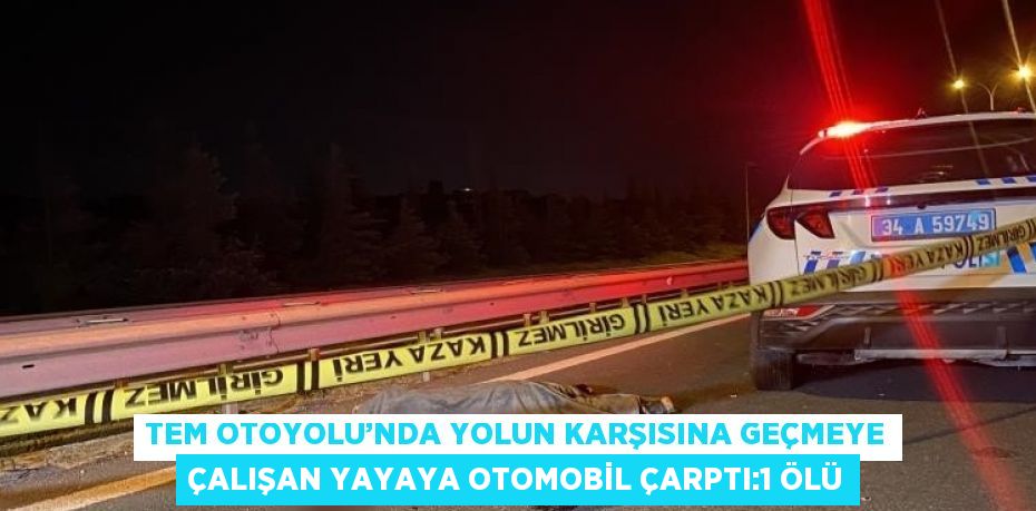 TEM OTOYOLU’NDA YOLUN KARŞISINA GEÇMEYE ÇALIŞAN YAYAYA OTOMOBİL ÇARPTI:1 ÖLÜ