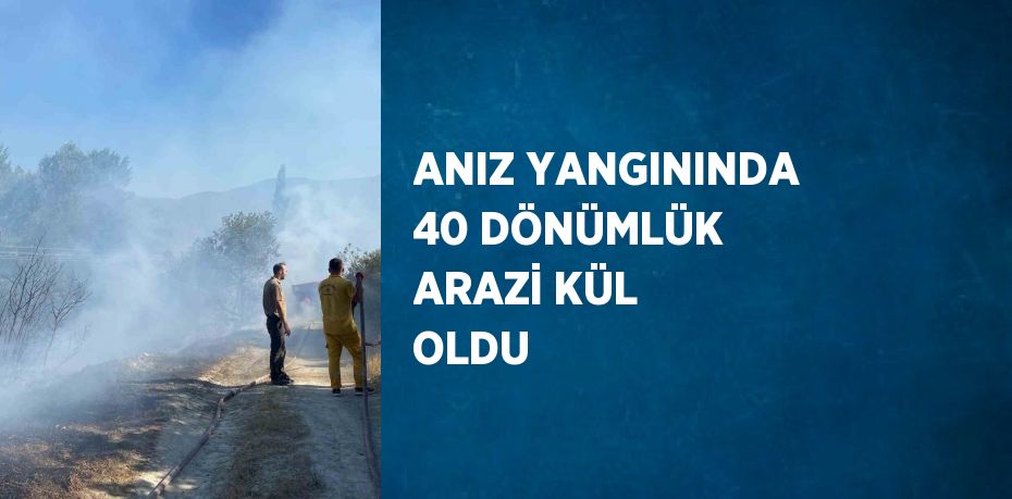 ANIZ YANGININDA 40 DÖNÜMLÜK ARAZİ KÜL OLDU