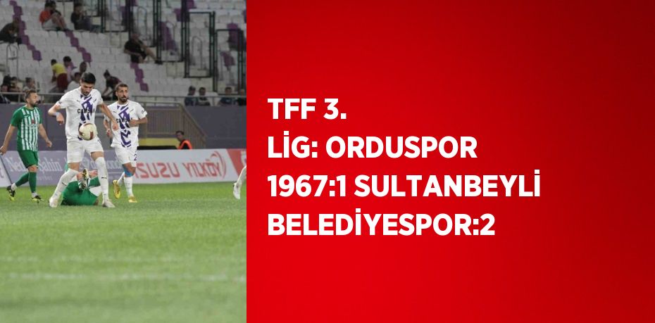 TFF 3. LİG: ORDUSPOR 1967:1 SULTANBEYLİ BELEDİYESPOR:2