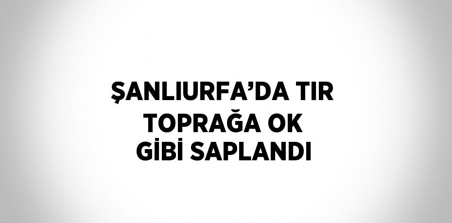 ŞANLIURFA’DA TIR TOPRAĞA OK GİBİ SAPLANDI