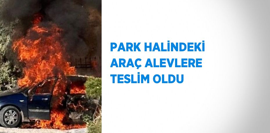 PARK HALİNDEKİ ARAÇ ALEVLERE TESLİM OLDU