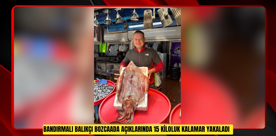 Bandırmalı balıkçı Bozcaada açıklarında 15 kiloluk kalamar yakaladı  