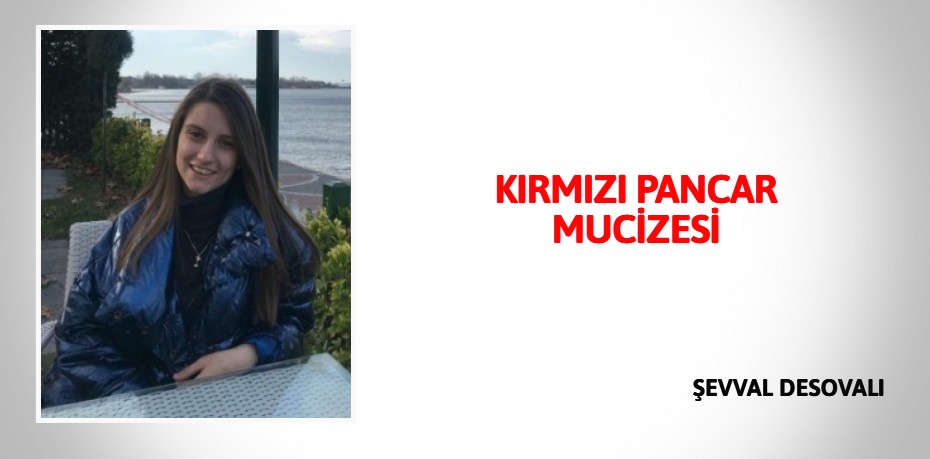 KIRMIZI  PANCAR  MUCİZESİ