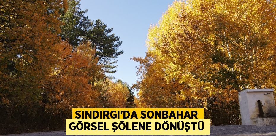 SINDIRGI'DA SONBAHAR GÖRSEL ŞÖLENE DÖNÜŞTÜ