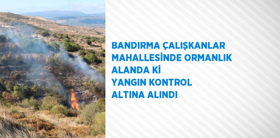 BANDIRMA ÇALIŞKANLAR MAHALLESİNDE ORMANLIK ALANDA Kİ YANGIN KONTROL ALTINA ALINDI