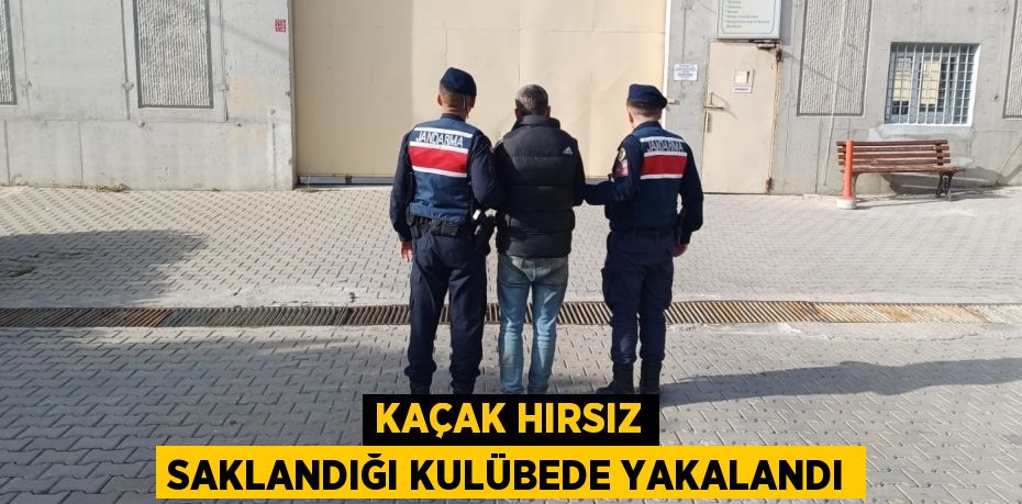 Kaçak hırsız saklandığı kulübede yakalandı