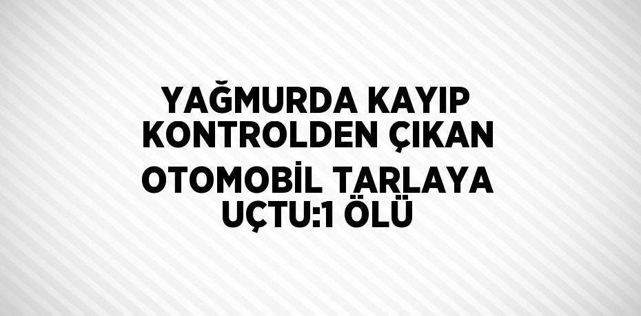 YAĞMURDA KAYIP KONTROLDEN ÇIKAN OTOMOBİL TARLAYA UÇTU:1 ÖLÜ