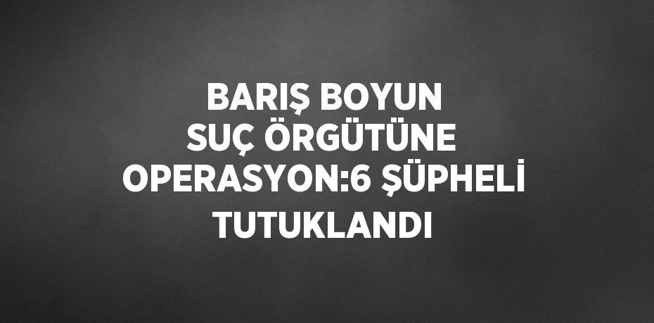 BARIŞ BOYUN SUÇ ÖRGÜTÜNE OPERASYON:6 ŞÜPHELİ TUTUKLANDI