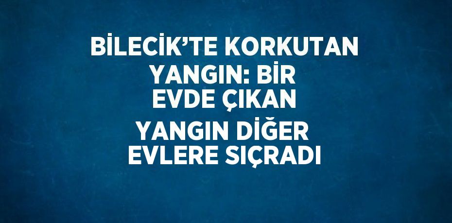 BİLECİK’TE KORKUTAN YANGIN: BİR EVDE ÇIKAN YANGIN DİĞER EVLERE SIÇRADI