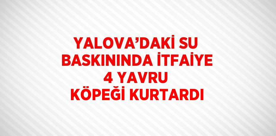 YALOVA’DAKİ SU BASKININDA İTFAİYE 4 YAVRU KÖPEĞİ KURTARDI