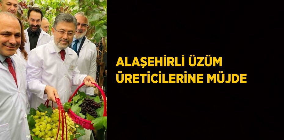 ALAŞEHİRLİ ÜZÜM ÜRETİCİLERİNE MÜJDE