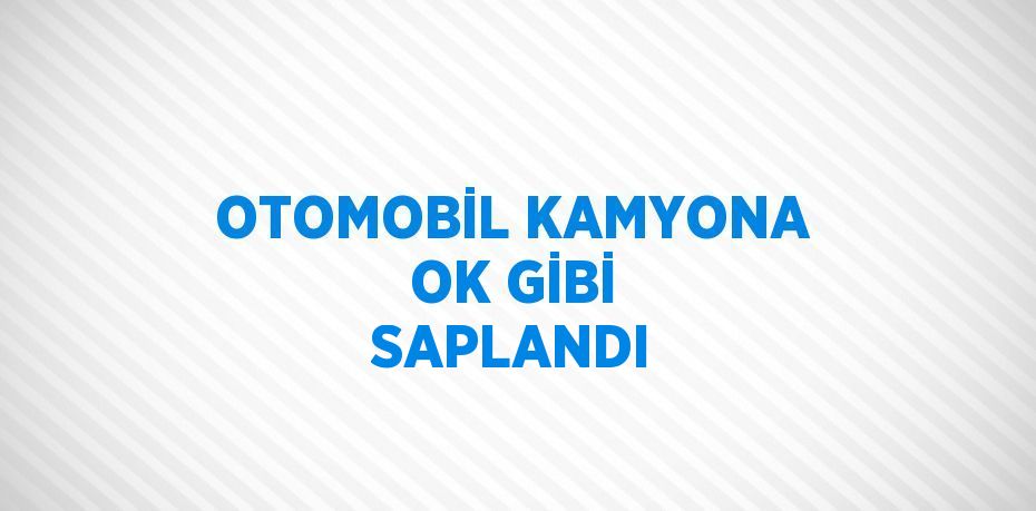 OTOMOBİL KAMYONA OK GİBİ SAPLANDI