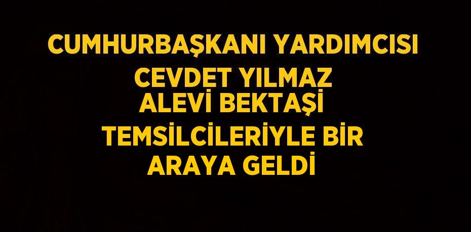 CUMHURBAŞKANI YARDIMCISI CEVDET YILMAZ ALEVİ BEKTAŞİ TEMSİLCİLERİYLE BİR ARAYA GELDİ