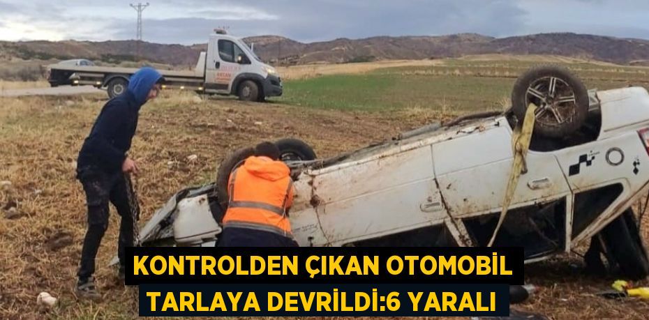 KONTROLDEN ÇIKAN OTOMOBİL TARLAYA DEVRİLDİ:6 YARALI