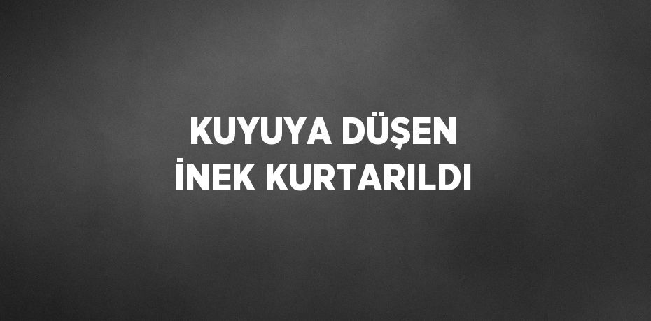 KUYUYA DÜŞEN İNEK KURTARILDI