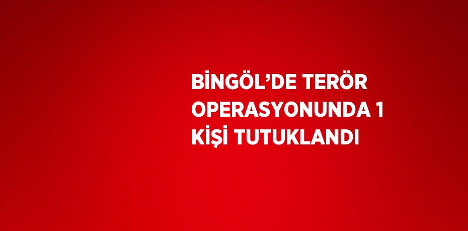 BİNGÖL’DE TERÖR OPERASYONUNDA 1 KİŞİ TUTUKLANDI