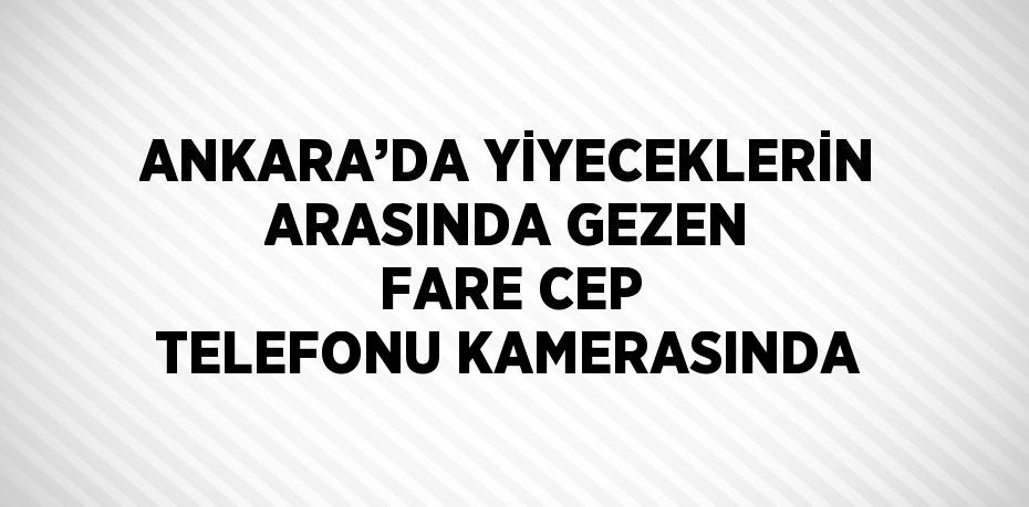 ANKARA’DA YİYECEKLERİN ARASINDA GEZEN FARE CEP TELEFONU KAMERASINDA