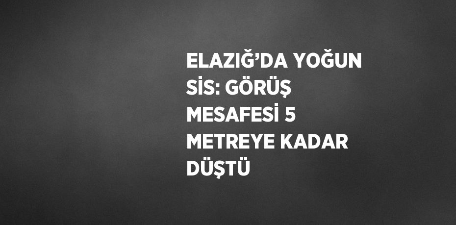 ELAZIĞ’DA YOĞUN SİS: GÖRÜŞ MESAFESİ 5 METREYE KADAR DÜŞTÜ