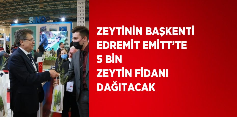 ZEYTİNİN BAŞKENTİ EDREMİT EMİTT’TE 5 BİN ZEYTİN FİDANI DAĞITACAK