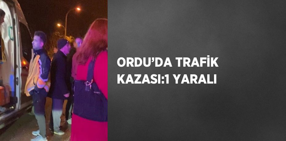 ORDU’DA TRAFİK KAZASI:1 YARALI