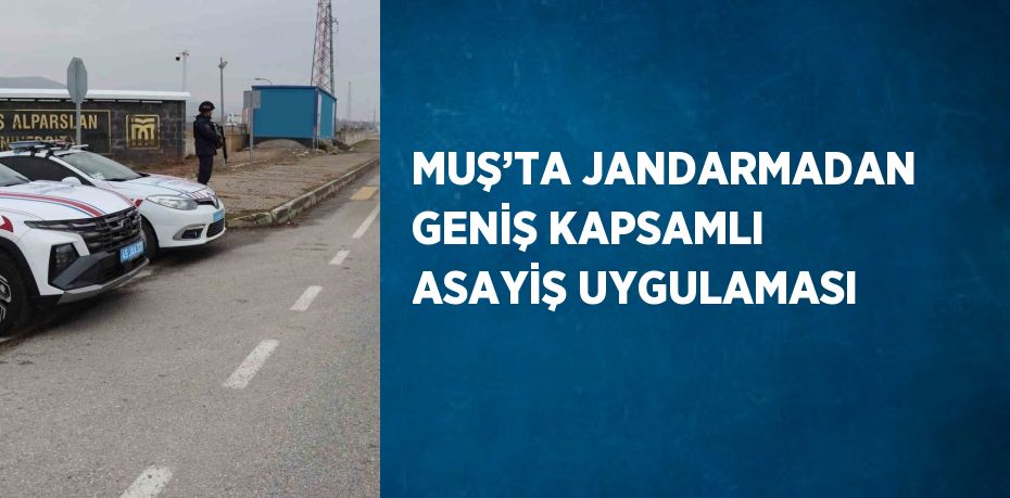 MUŞ’TA JANDARMADAN GENİŞ KAPSAMLI ASAYİŞ UYGULAMASI