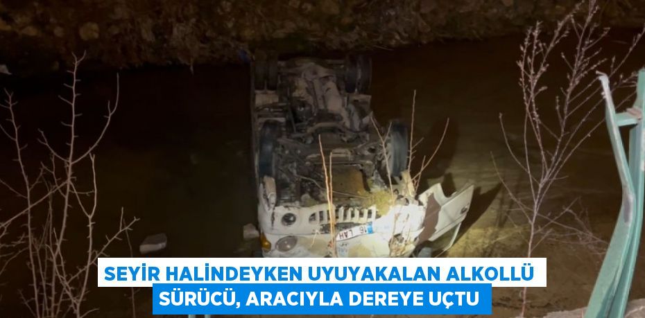 SEYİR HALİNDEYKEN UYUYAKALAN ALKOLLÜ SÜRÜCÜ, ARACIYLA DEREYE UÇTU