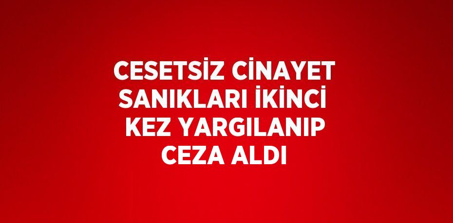 CESETSİZ CİNAYET SANIKLARI İKİNCİ KEZ YARGILANIP CEZA ALDI