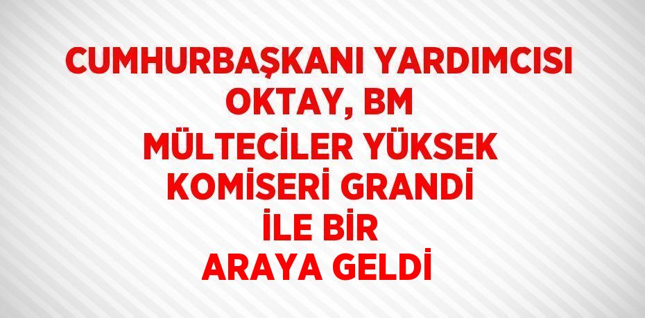 CUMHURBAŞKANI YARDIMCISI OKTAY, BM MÜLTECİLER YÜKSEK KOMİSERİ GRANDİ İLE BİR ARAYA GELDİ