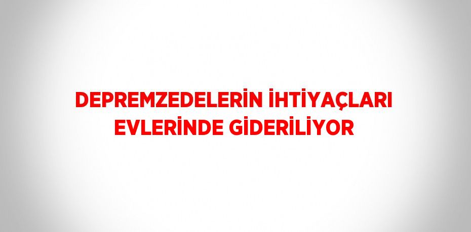 DEPREMZEDELERİN İHTİYAÇLARI EVLERİNDE GİDERİLİYOR