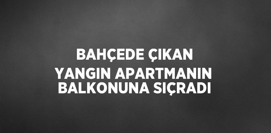 BAHÇEDE ÇIKAN YANGIN APARTMANIN BALKONUNA SIÇRADI