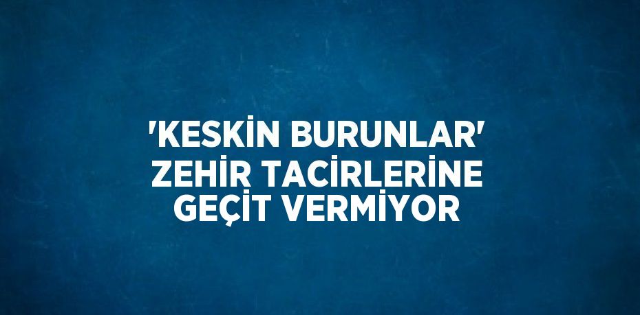 'KESKİN BURUNLAR' ZEHİR TACİRLERİNE GEÇİT VERMİYOR